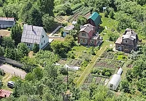 Кто теперь главный в СНТ: Росреестр наводит порядок на дачах