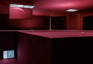 Renaissance Society получило приз Ellsworth Kelly на выставку Pan Daijing