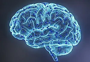 Medicamentos para el TDAH: estabilizadores para el cerebro infantil