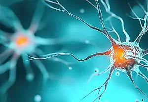 Moléculas sintéticas: un ataque contra las enfermedades cerebrales