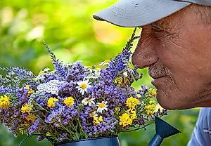 Cómo el olfato delata la enfermedad de Parkinson: una nueva prueba y matices inesperados
