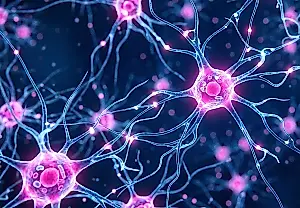 Un antihipertensivo reduce la ansiedad, pero provoca diferencias entre sexos en la percepción