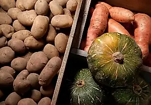 La bodega puso la cosecha a prueba