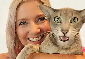 Fama gatuna: cuatro certificados para los vídeos de CatCrazy