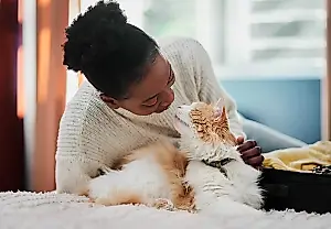 Un gato no es una compra impulsiva