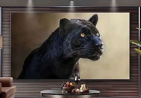 OLED на 111 дюймов: гигантский экран может стать доступнее