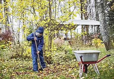 Octubre en la casa de campo: nueve tareas que salvarán la primavera