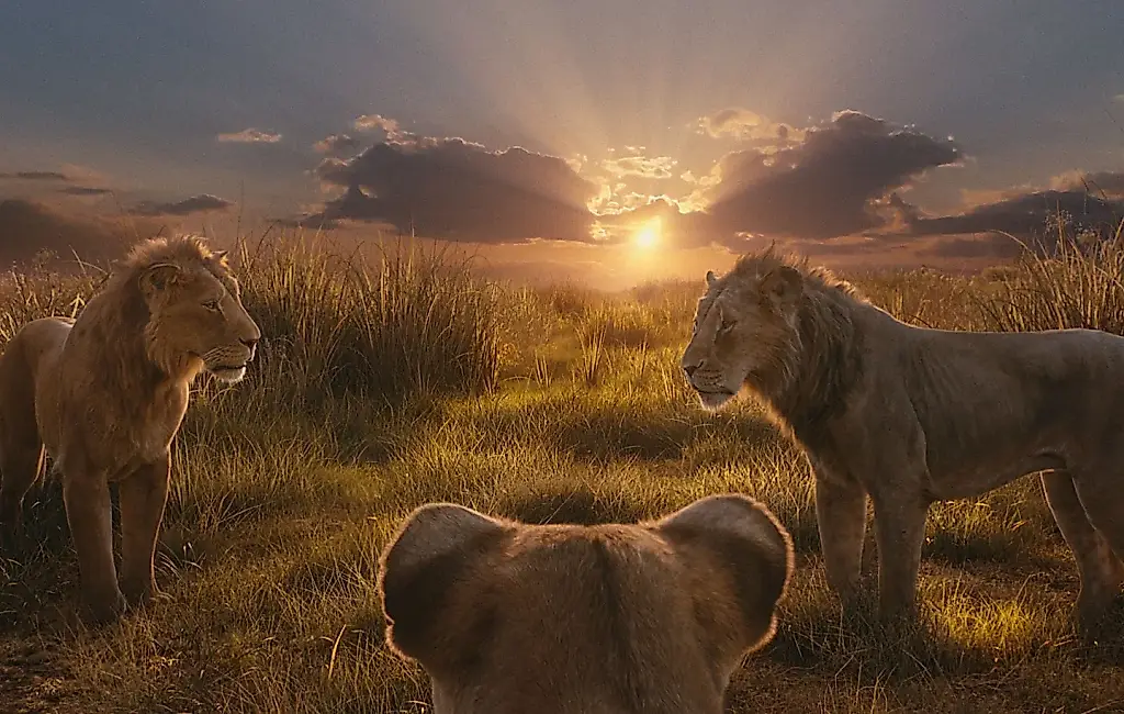La traducción de «El rey león» arrasa en Internet