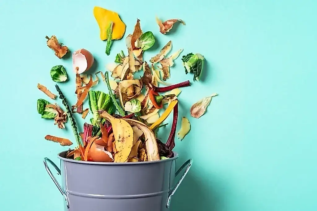 Nada de ensaladilla rusa: compost después de las fiestas