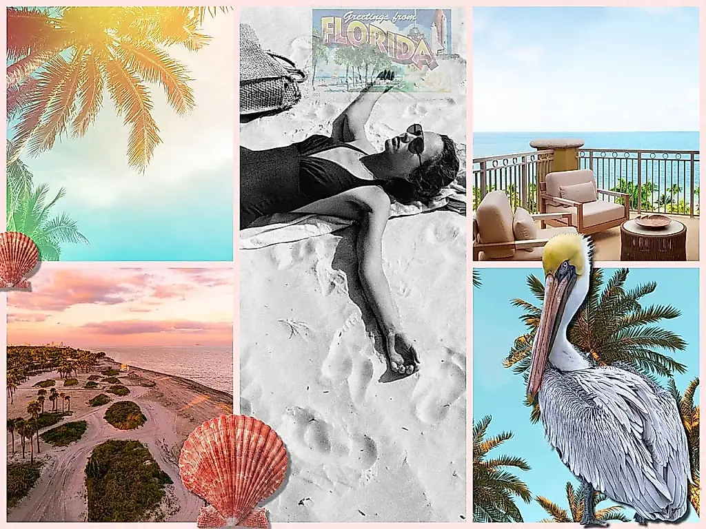 Key Biscayne: un paraíso escondido cerca de Miami