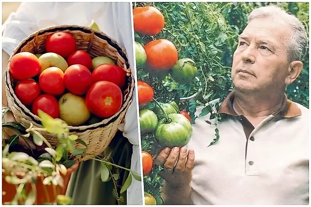 El método de Maslov
