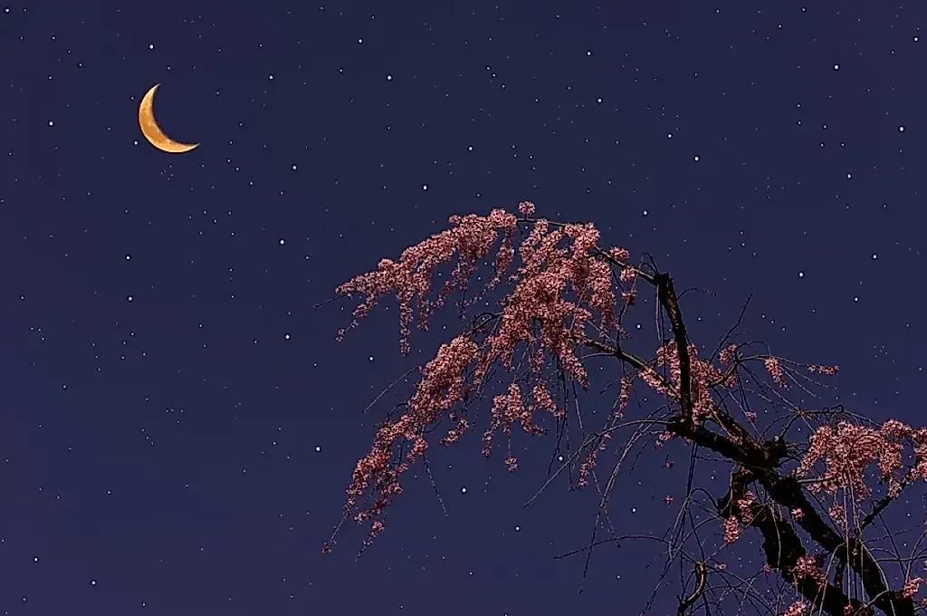 Calendario lunar: abril y el huerto