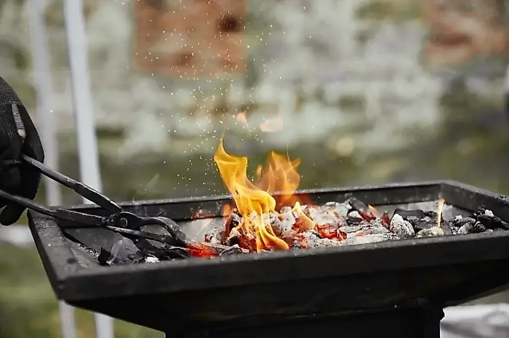 La barbacoa contra el sentido común