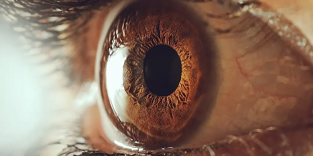 Cuando las emociones amplían la mirada