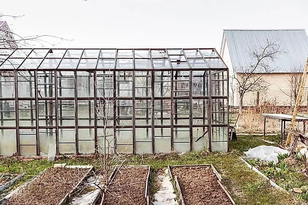 Qué se puede cultivar en una parcela de vivienda y qué riesgos implica