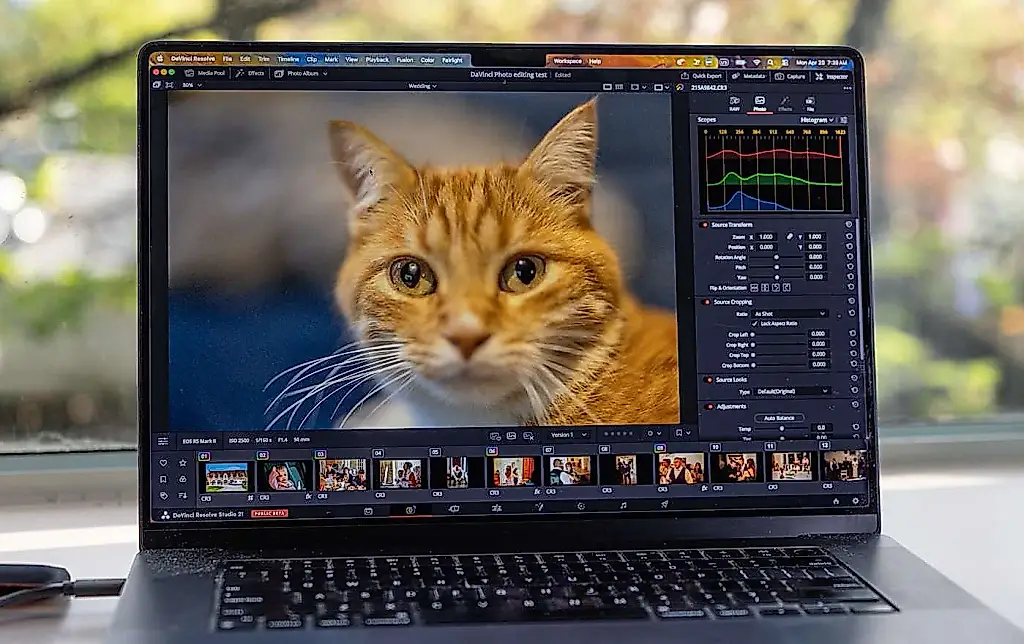 DaVinci Resolve 21 contra Lightroom: batalla por la fotografía