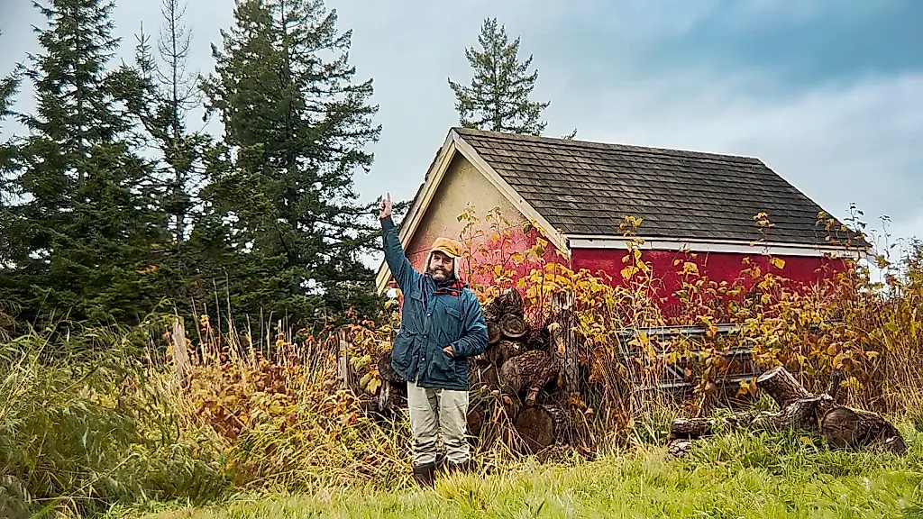 Zach Galifianakis y su extraña afición a la jardinería