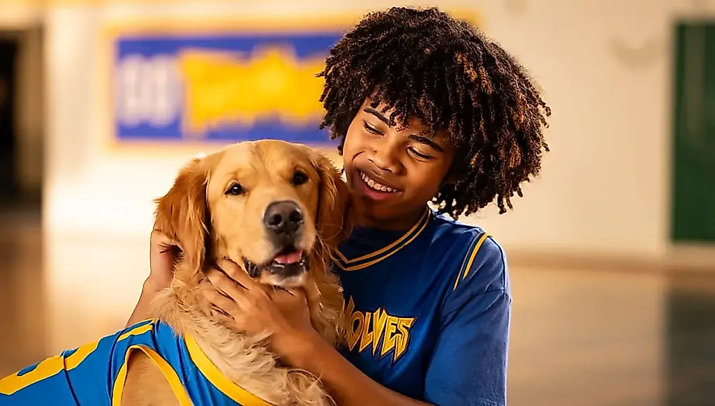 Возвращение пса-звезды: Air Bud снова в игре