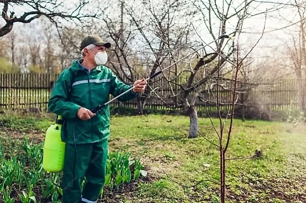 El agrónomo Laguta revela cómo salvar el jardín