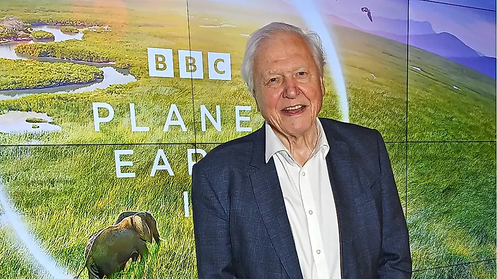Sir David Attenborough cumple 100 años: le dedican una avispa