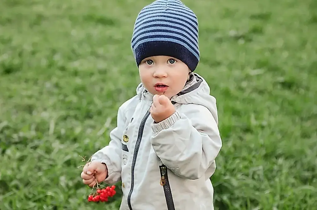 El jardín prohibido para los niños