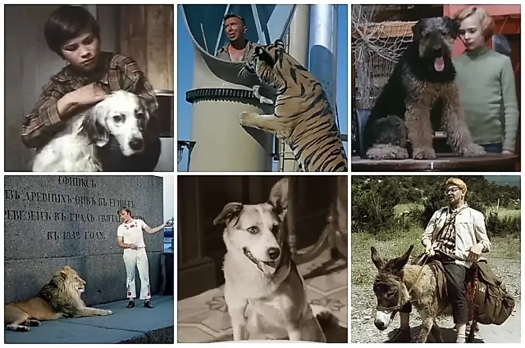 Las tragedias de los animales del cine soviético