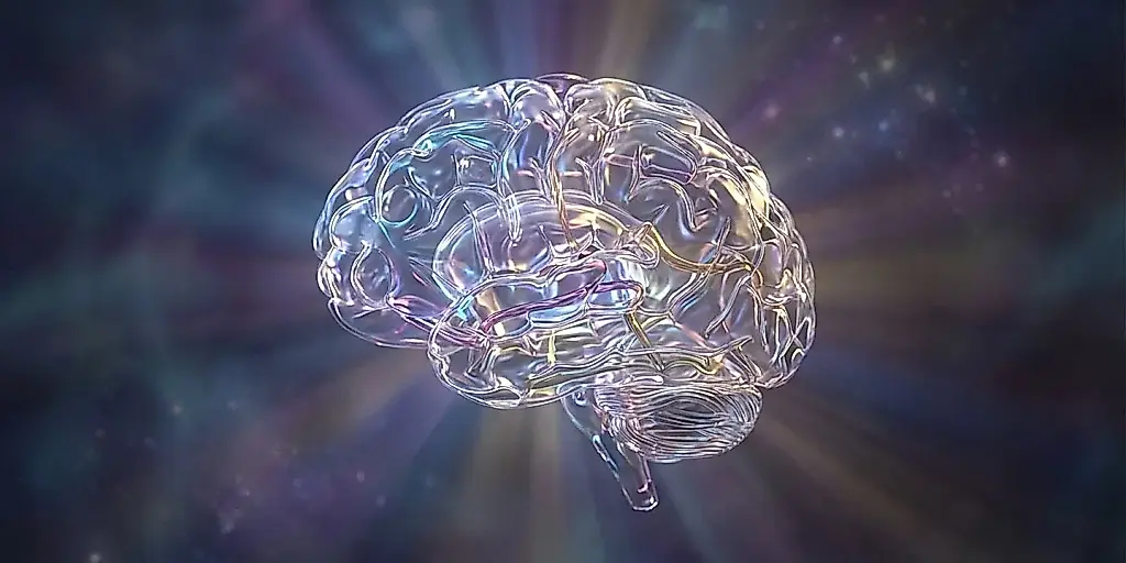 Cómo la infancia cambia el cerebro
