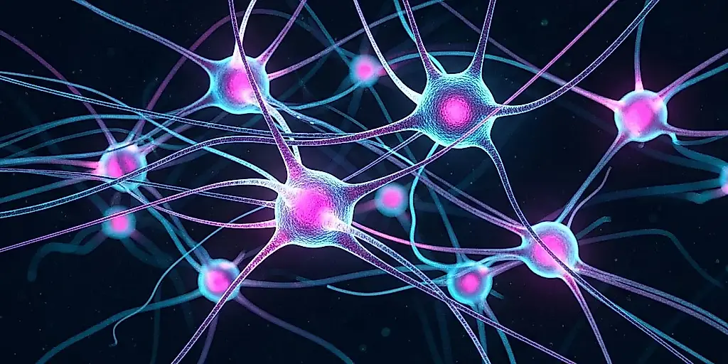 La psilocibina y el cerebro
