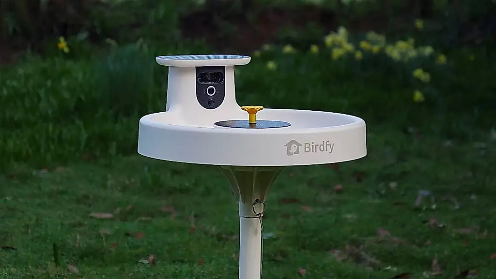 Prueba de Birdfy Bird Bath Pro