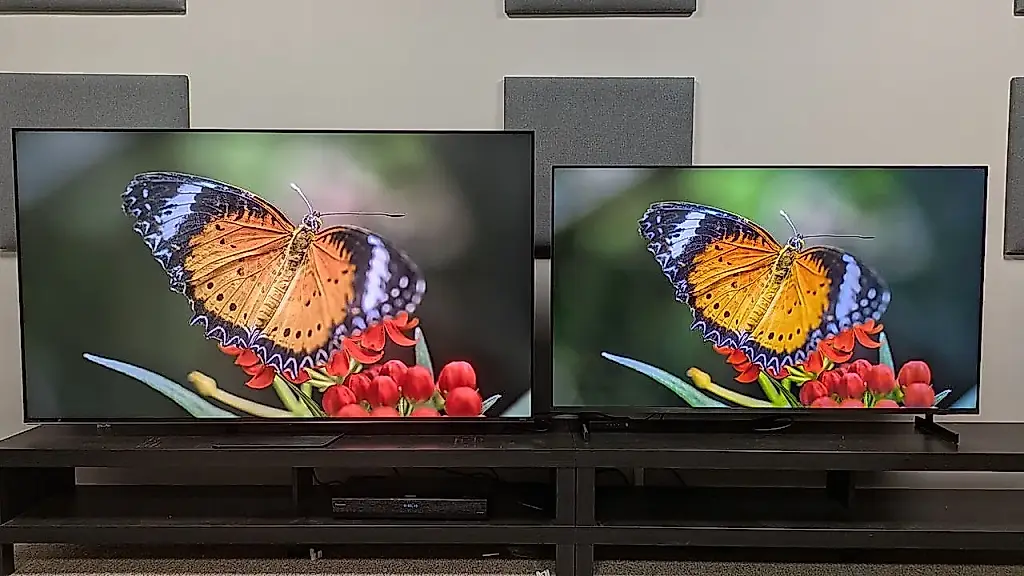 Televisor RGB económico frente a Mini-LED: ¿cómo se comportaron uno al lado del otro?