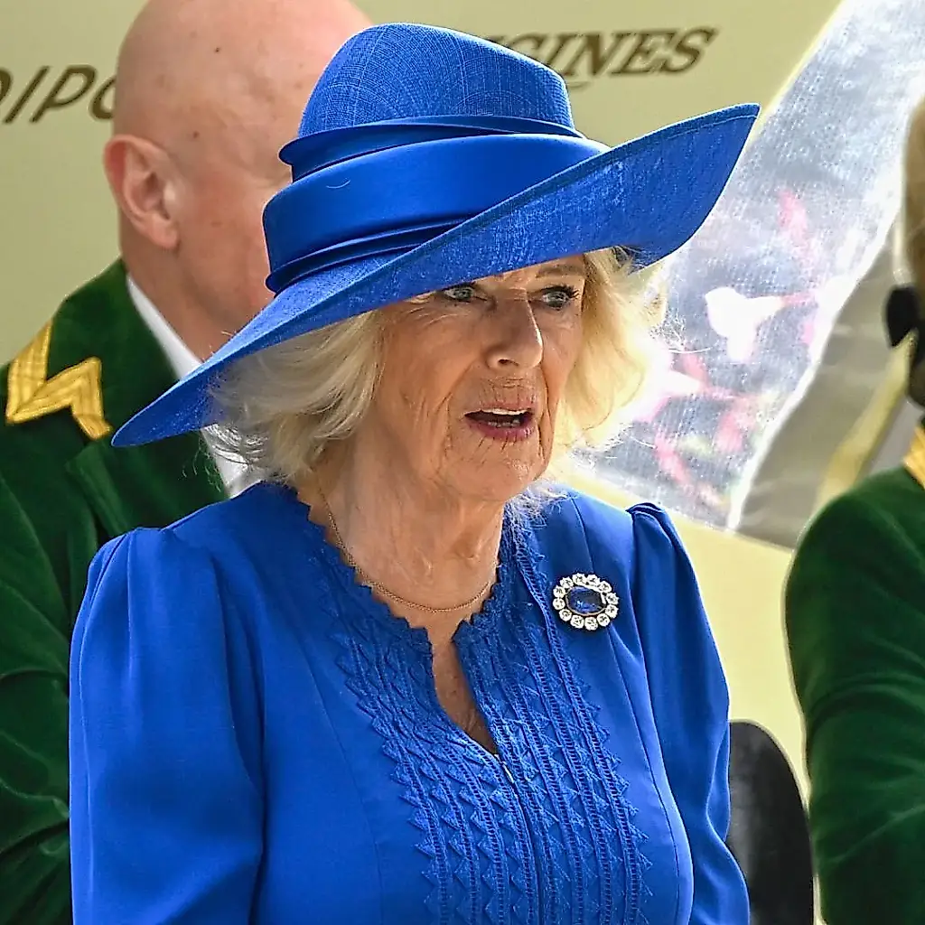 La reina Camila tropieza con algo «tan sencillo»