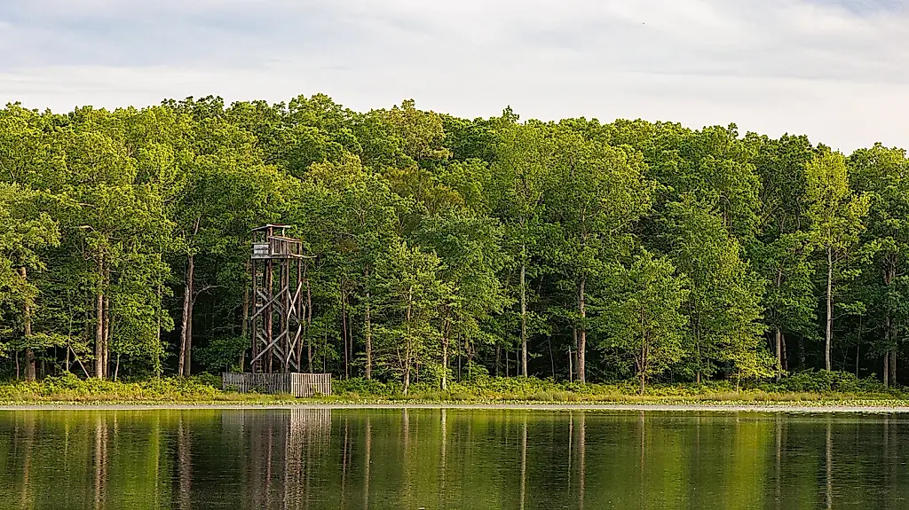 La NASA cede terrenos forestales de Maryland al Servicio de Pesca y Vida Silvestre de EE. UU.