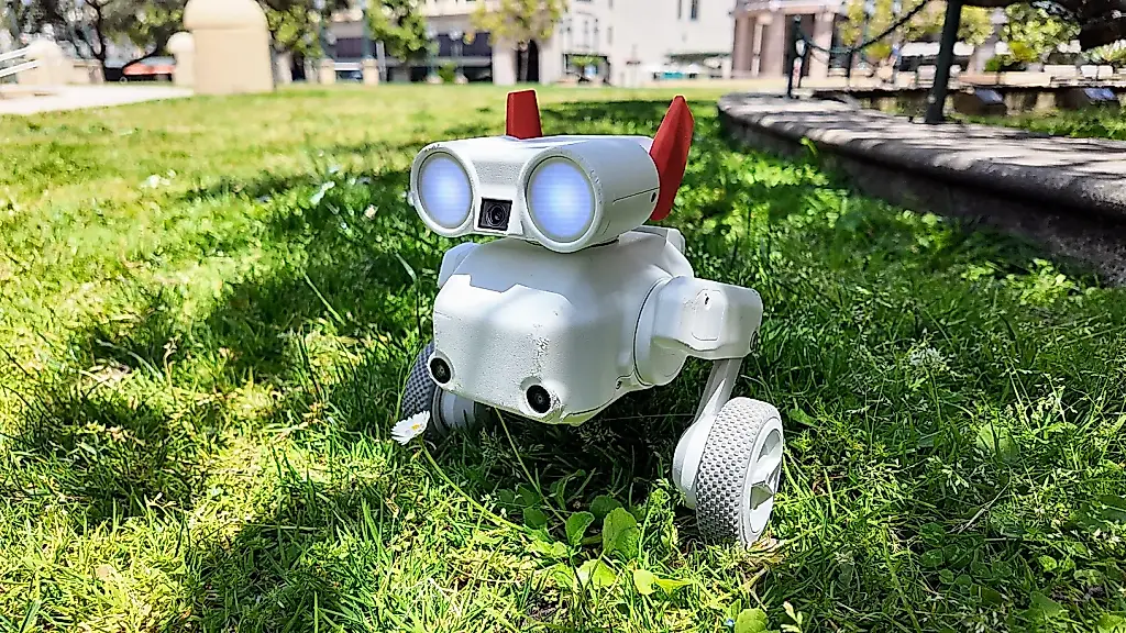 El perro robot saltarín Beni: primer encuentro