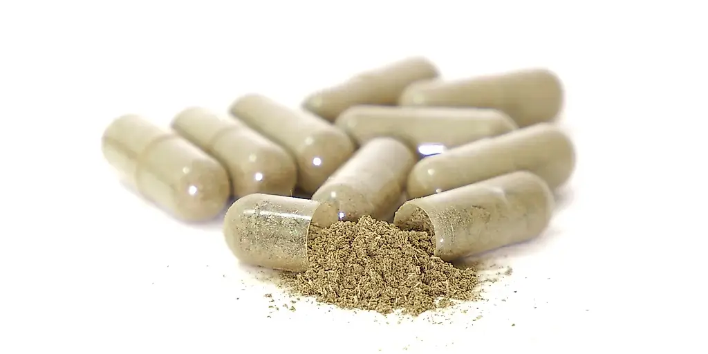 Ginseng contra la vejez: las ratas estadounidenses se vuelven más listas a ojos vista