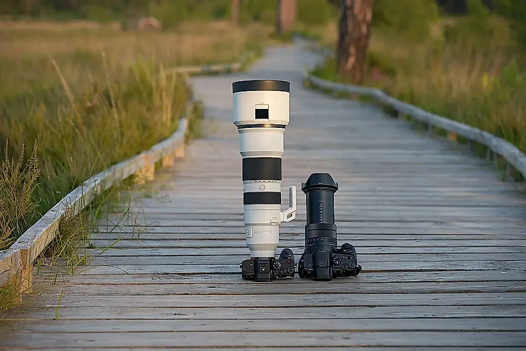 Sony RX10 V frente a la Sony profesional: guerra por los pájaros y los píxeles