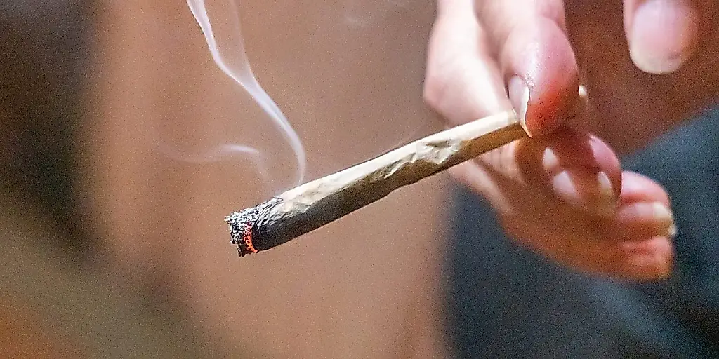 Cómo se relacionan el trastorno bipolar y los hábitos de consumo de cannabis entre los estudiantes