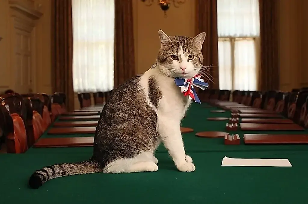 El gato Larry dicta las reglas al nuevo primer ministro británico