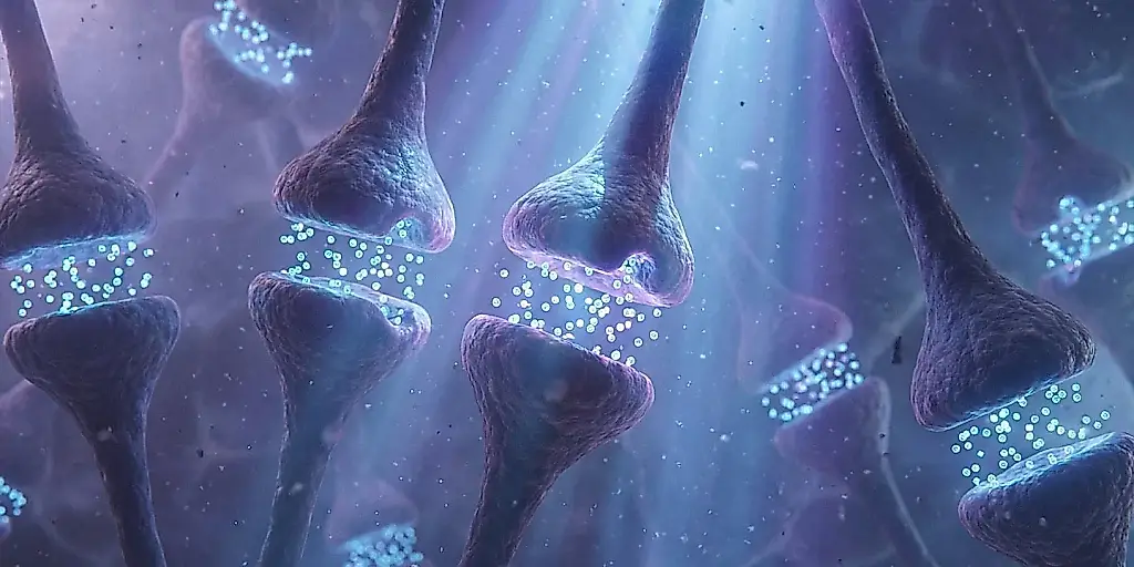 El alcohol altera un marcador de la inhibición cerebral