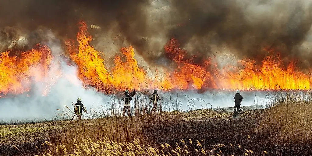 El humo de los incendios forestales vuelve locos a los niños