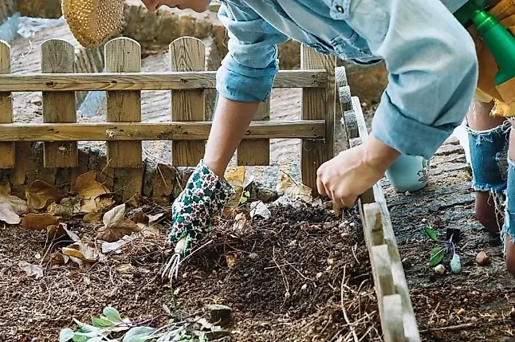 Cuentan a los veraneantes las reglas para plantar y proteger el jardín en verano