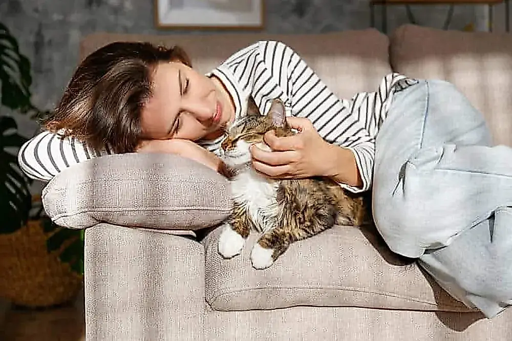Cada gato tiene su propio ronroneo distintivo
