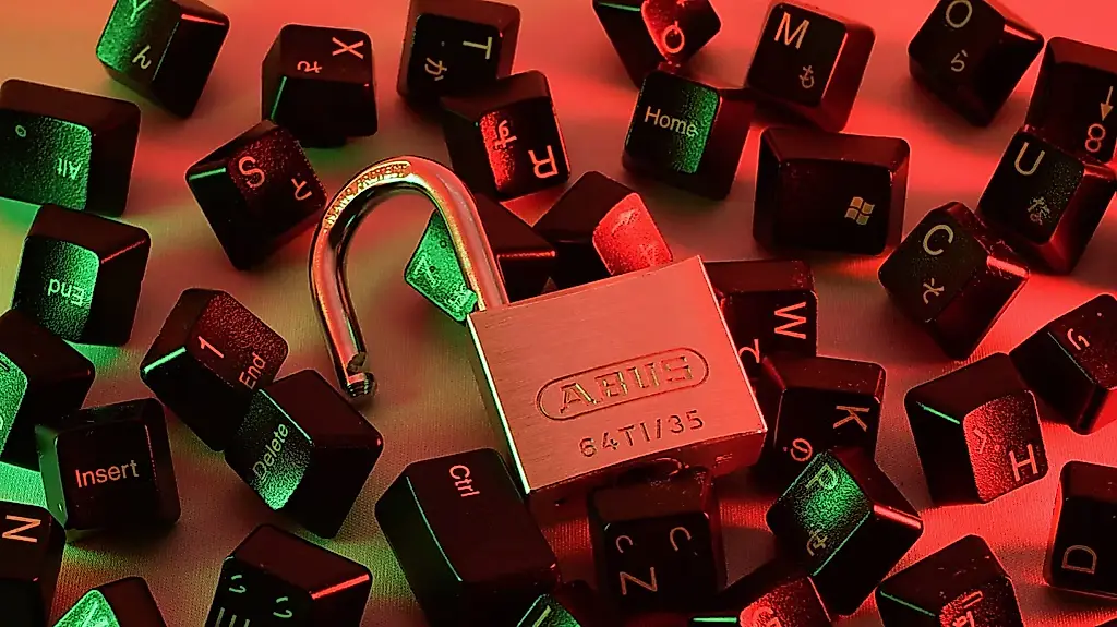 153 millones de permisos de conducir filtrados en la dark web