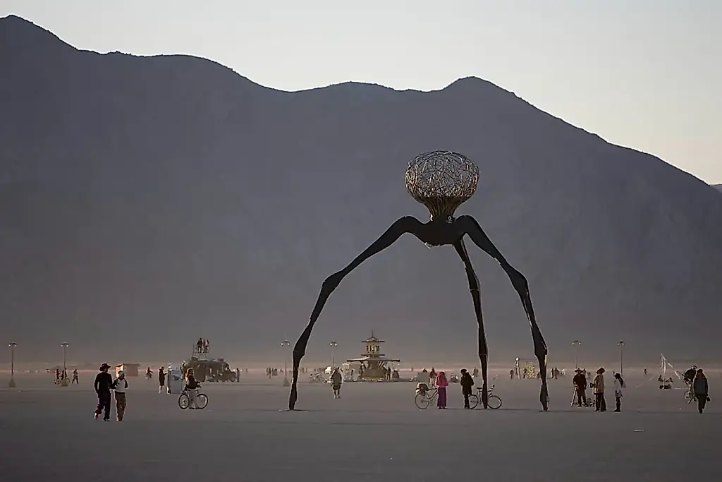В Burning Man погибли два участника: причины смертей не раскрыты