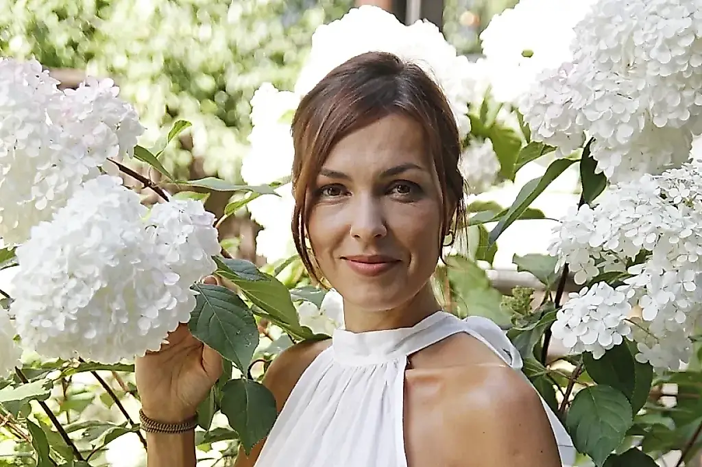 La hortensia sobrevivira al invierno: que hacer en otoño para que vuelva a florecer