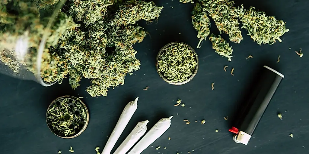 Cannabis bajo observación: los científicos investigarán por qué a unos les ayuda y a otros les destroza la psique