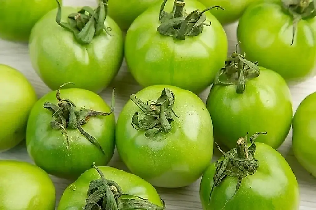 Tomates verdes: cuándo pueden ser peligrosos