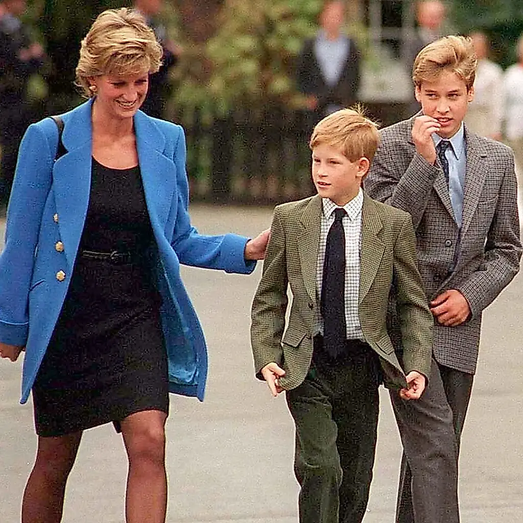 La princesa y el precipicio