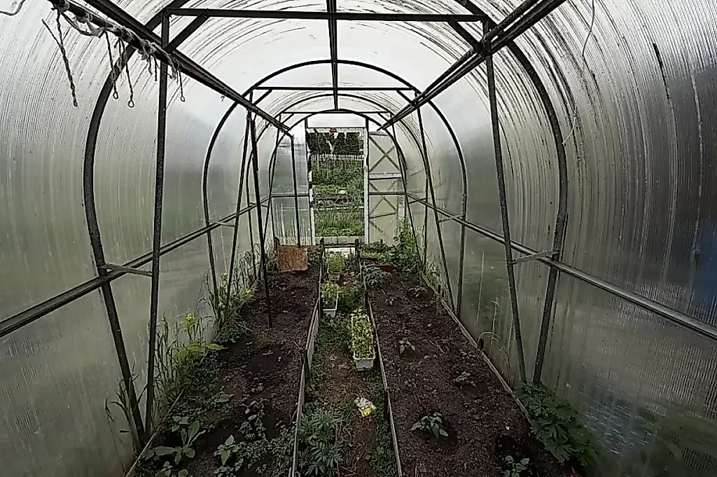 Invernadero tras la cosecha: tareas de otoño para conservar el suelo y proteger las plantas en primavera
