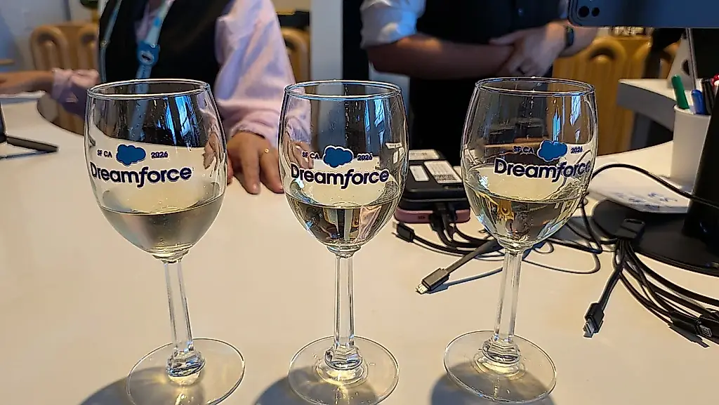 La IA reconoció el vino, pero las burbujas la despistaron