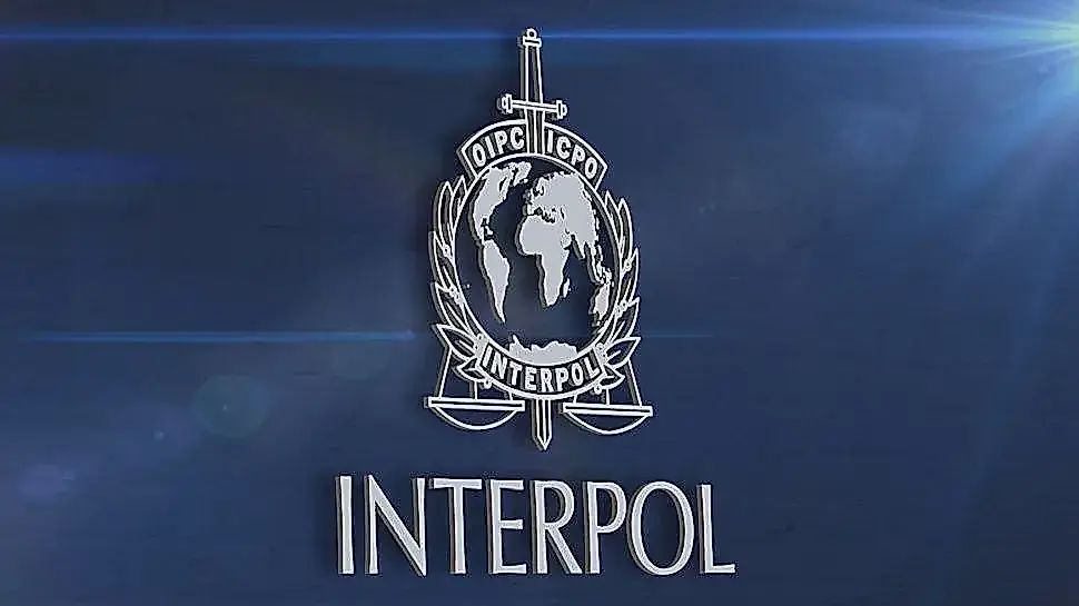 Interpol y 126 personas